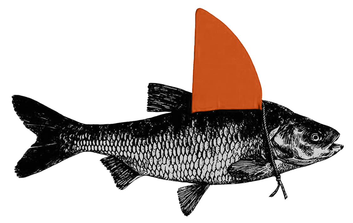 Haifisch